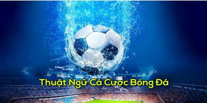 Thuật ngữ cá độ bóng đá là từ ngữ chuyên biệt sử dụng trong môn thể thao Vua